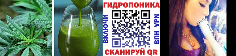 Cannafood конопля как найти Кудрово