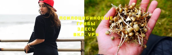 ALPHA PVP Алексеевка
