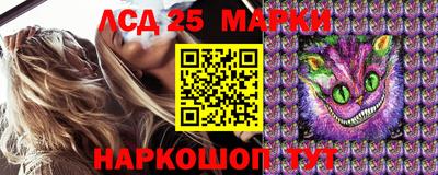 Альфа ПВП Кимры