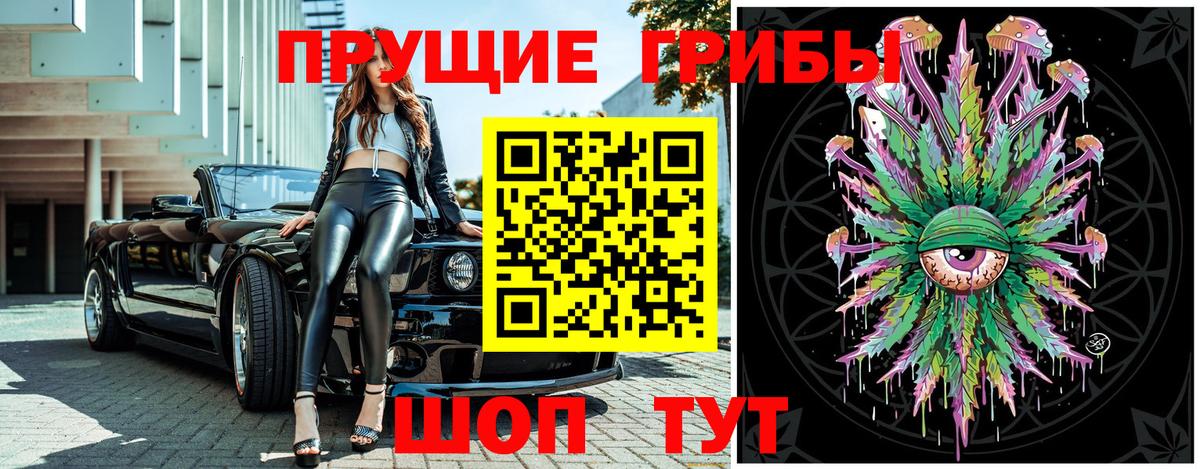 Псилоцибиновые грибы прущие грибы Кудрово