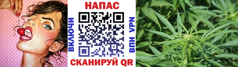 гидра ссылка  Кудрово  Конопля White Widow 